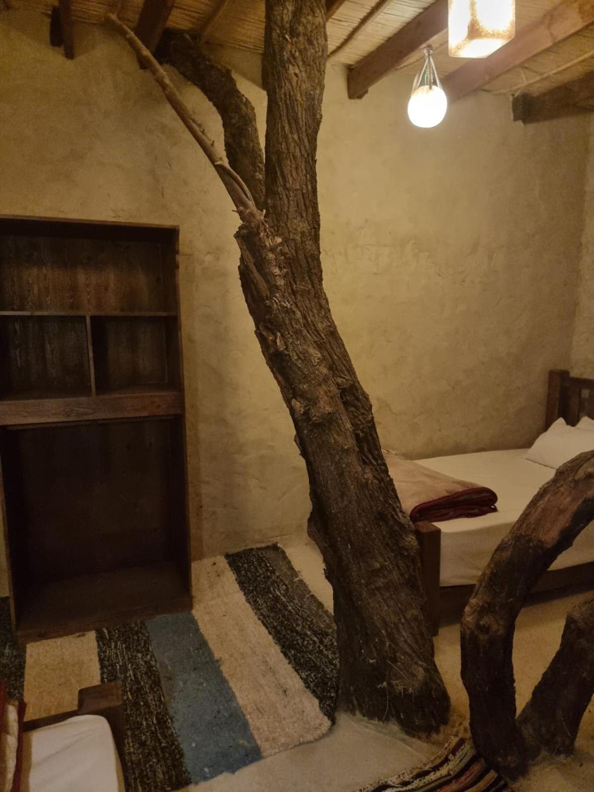 Olive Garden House Siwa Hostel Siwa Oasis Exterior photo