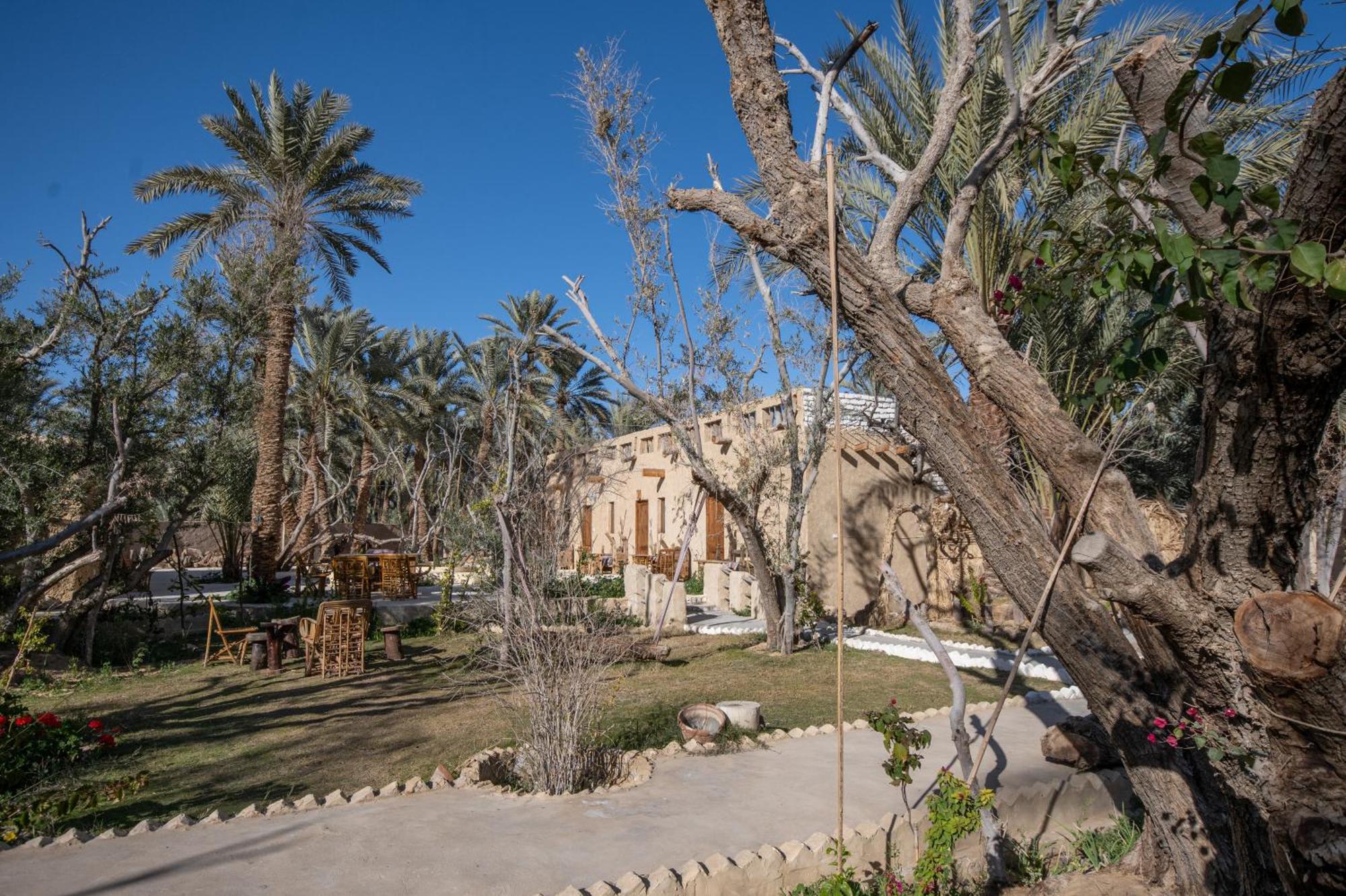Olive Garden House Siwa Hostel Siwa Oasis Exterior photo