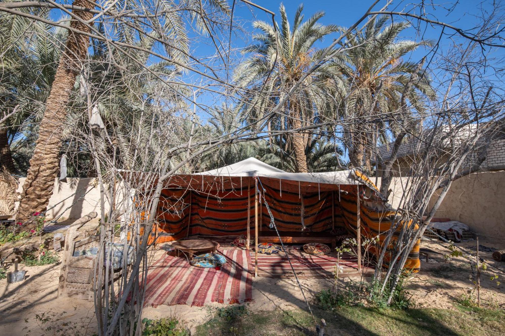 Olive Garden House Siwa Hostel Siwa Oasis Exterior photo