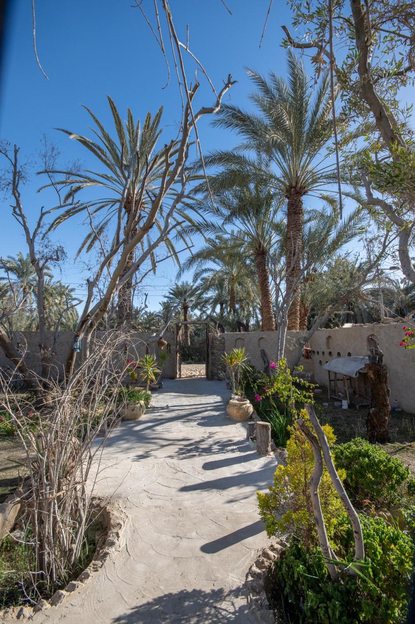 Olive Garden House Siwa Hostel Siwa Oasis Exterior photo