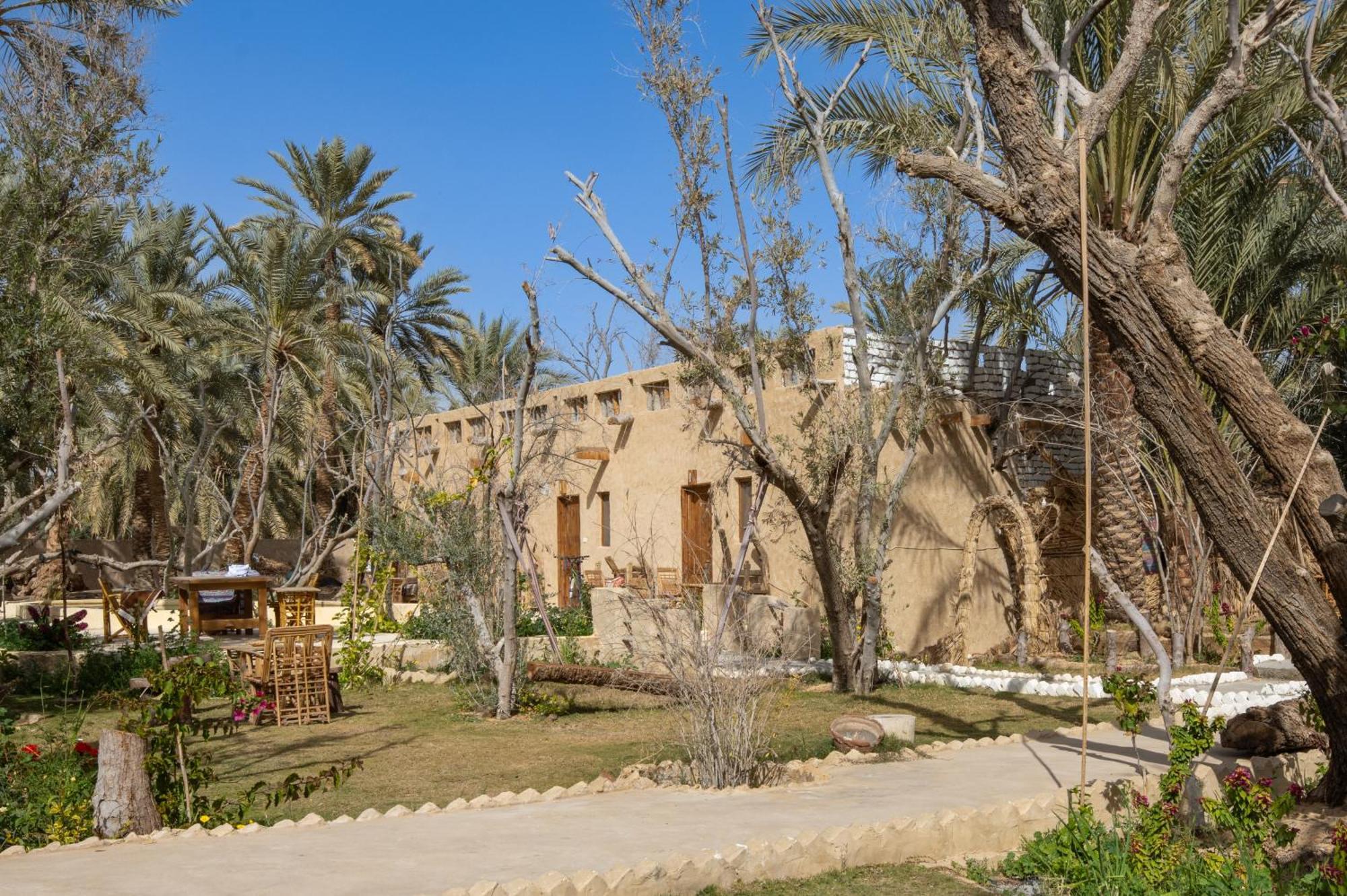 Olive Garden House Siwa Hostel Siwa Oasis Exterior photo