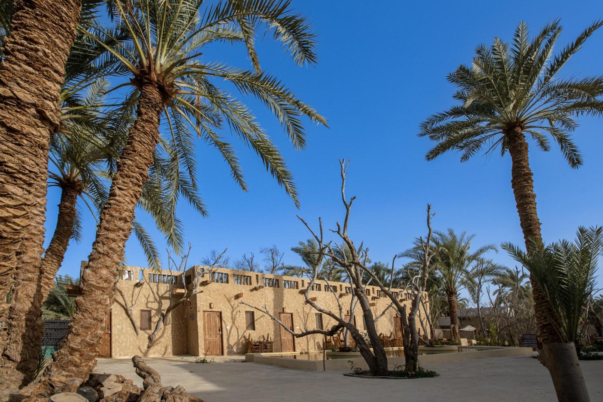 Olive Garden House Siwa Hostel Siwa Oasis Exterior photo