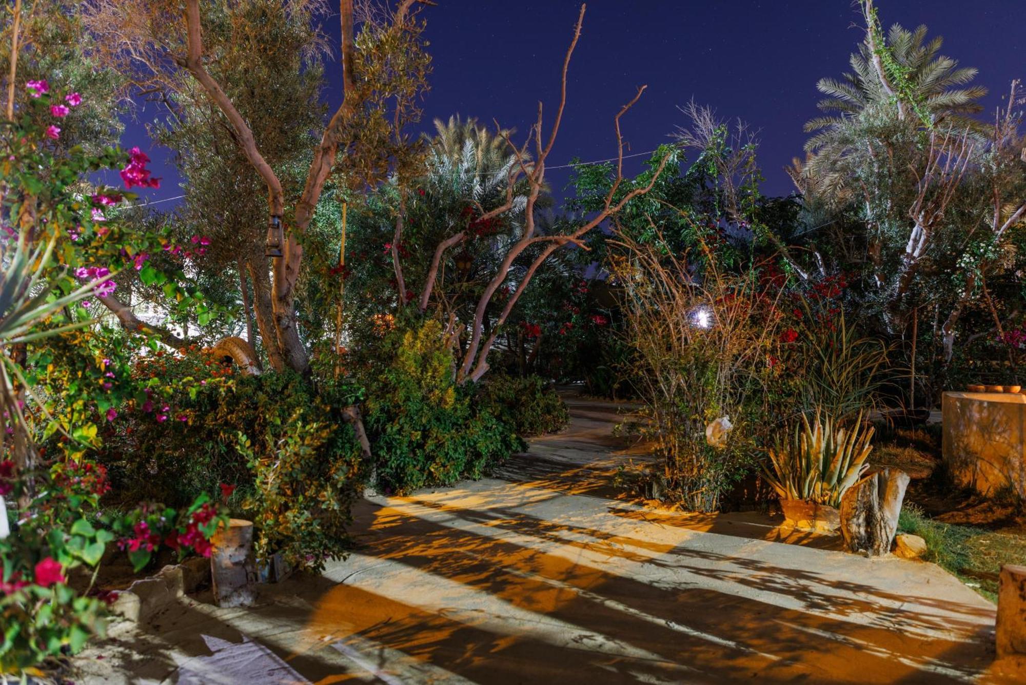 Olive Garden House Siwa Hostel Siwa Oasis Exterior photo