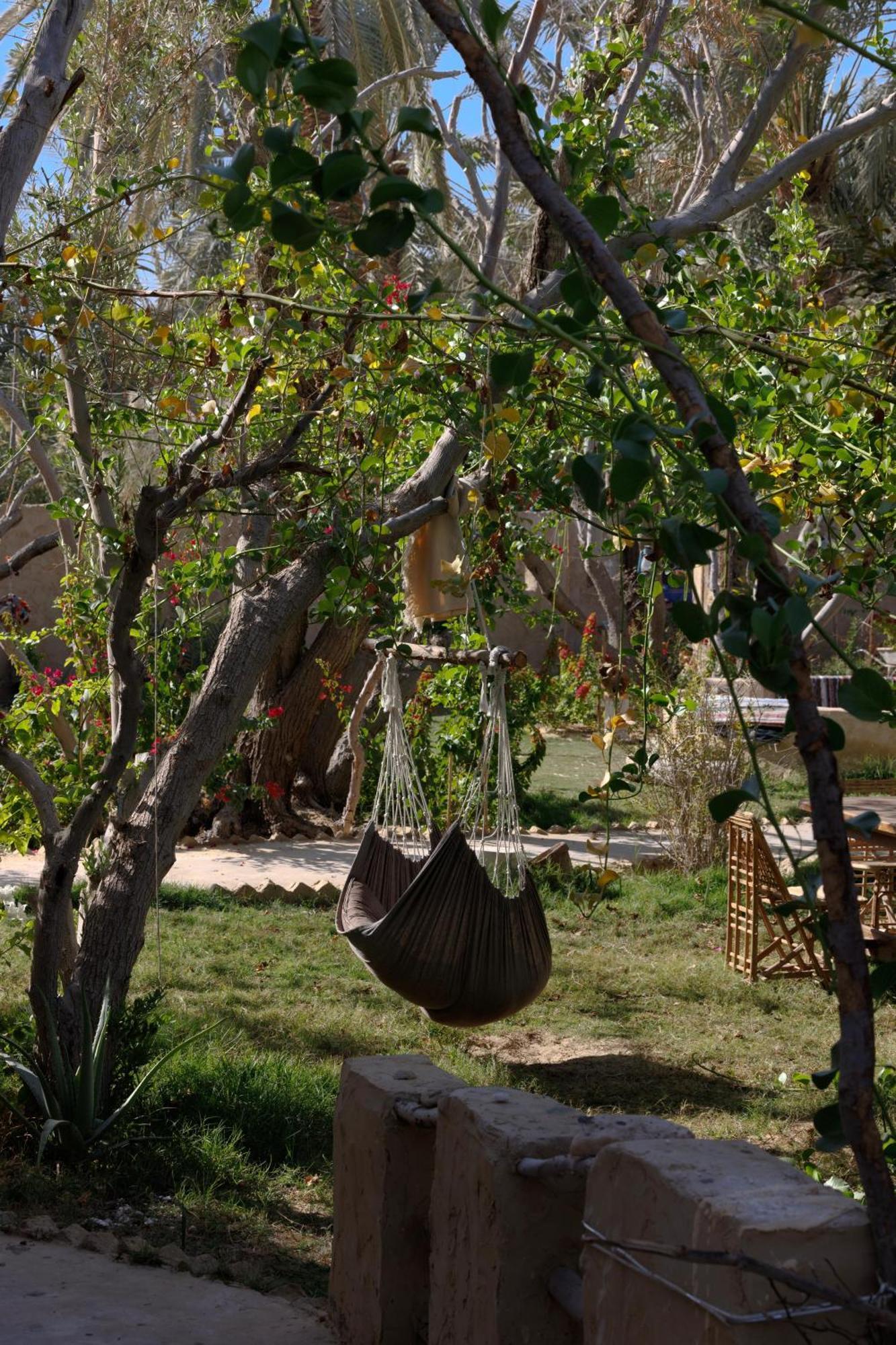Olive Garden House Siwa Hostel Siwa Oasis Exterior photo
